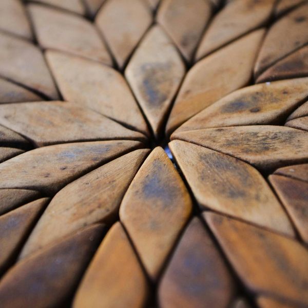 Symmetric visualization of energy and balance with rose light motifs.